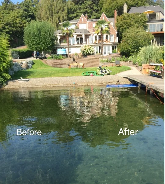 Before after photo.jpg