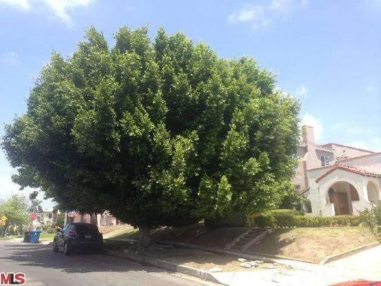 1310 S Longwood Ave - $686,783