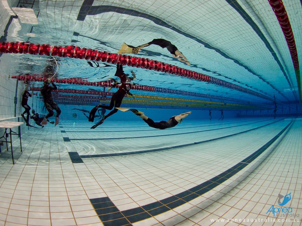 freediving pool competition