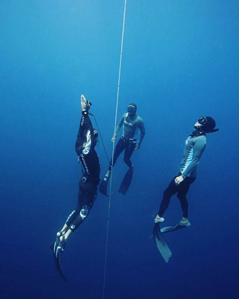 monofin ascending freediving competition