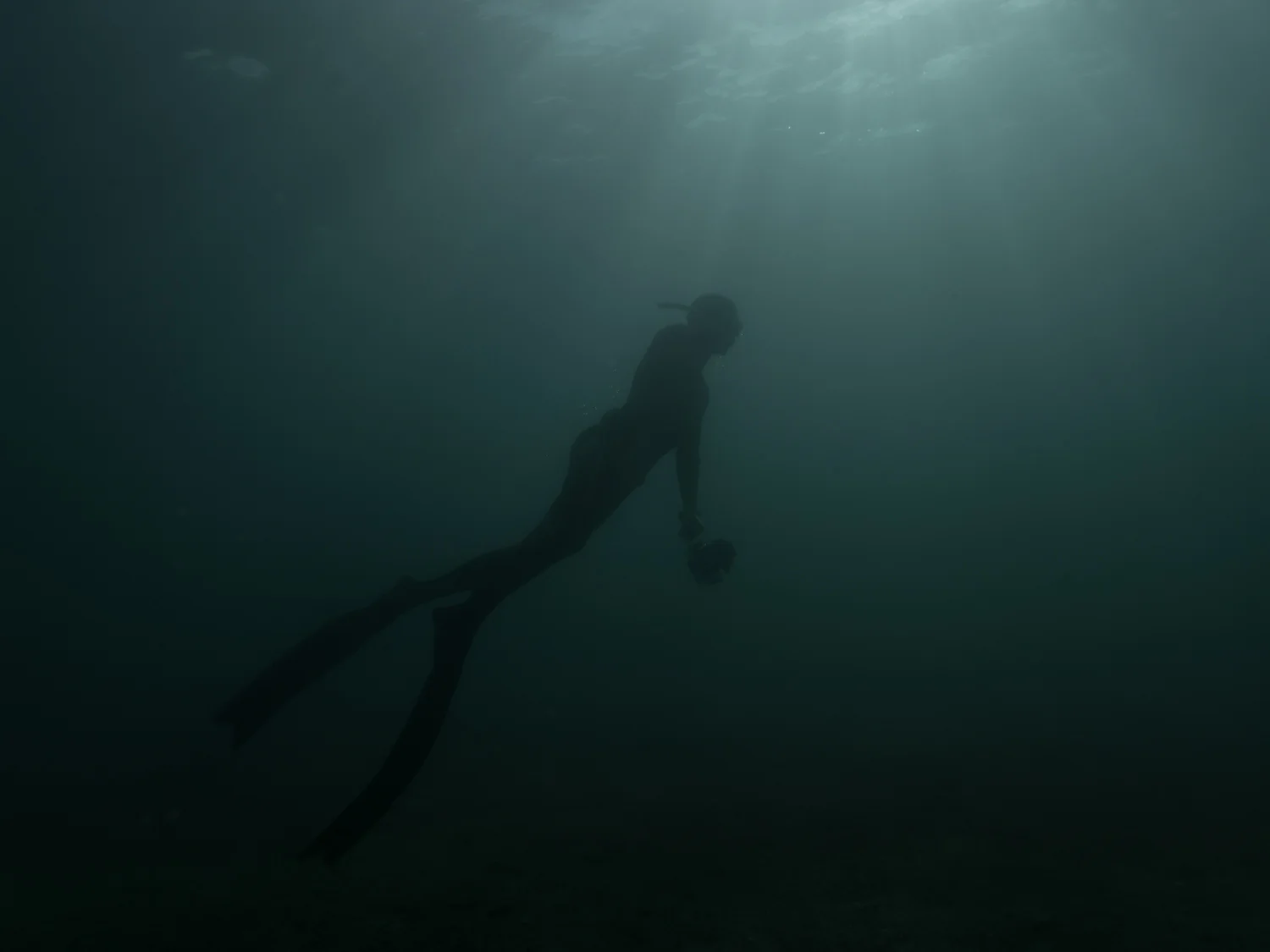 jack hatfield freediving