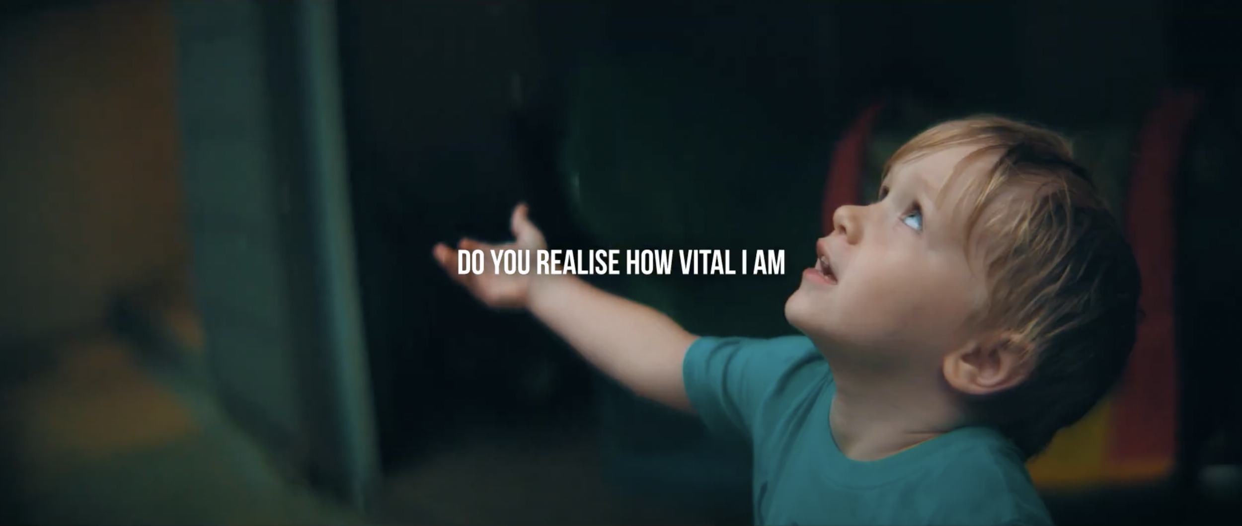 LIFE4MEDECA Project official video - English version