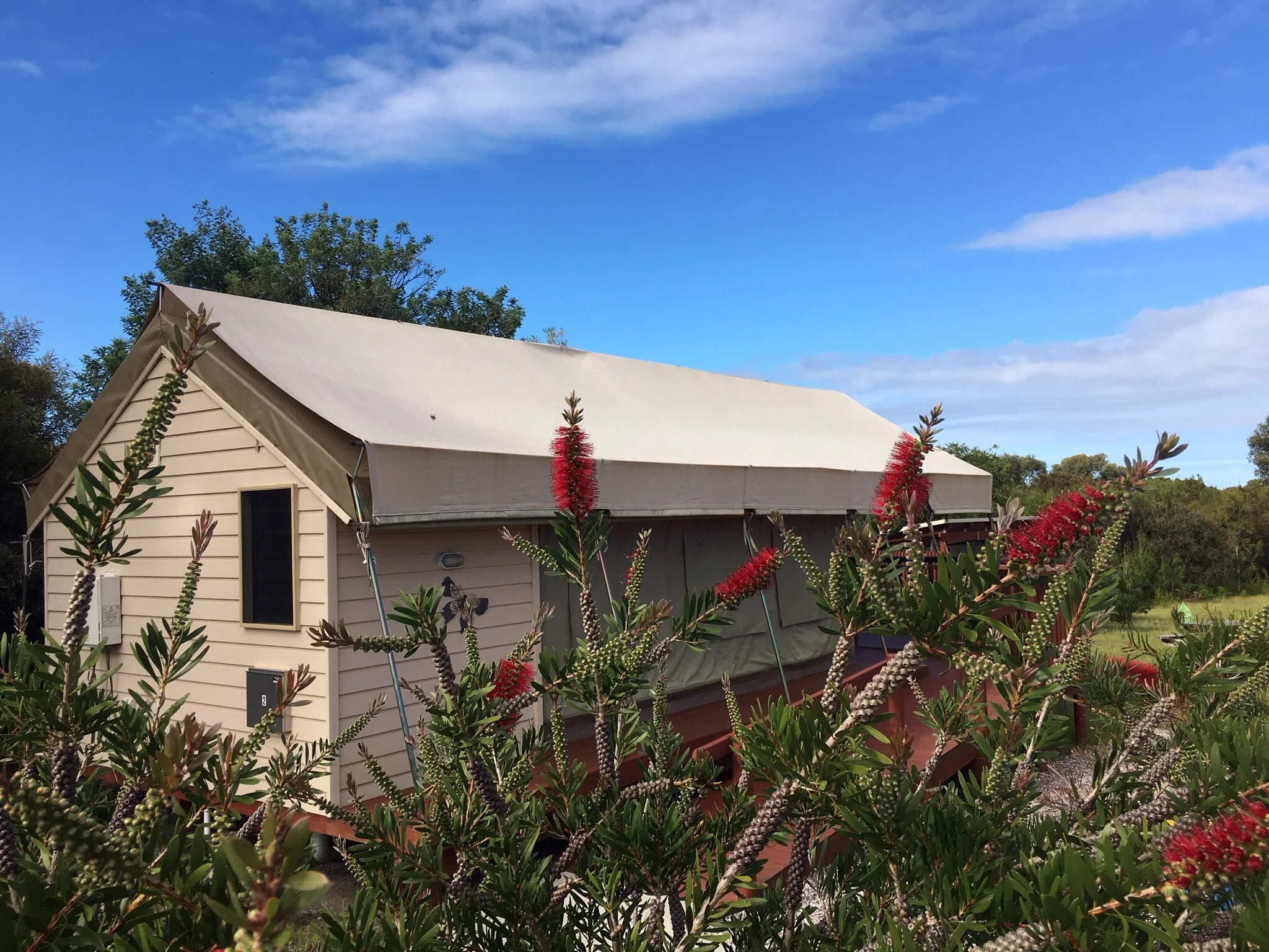 What is a safari tent?