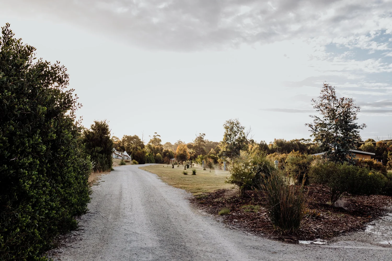 Scamander Sanctuary Holiday Park - Main photo