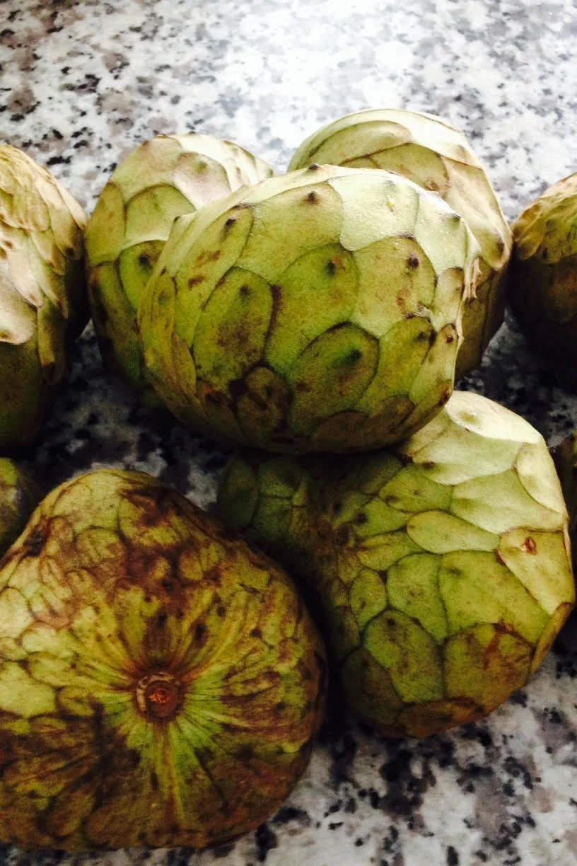 cherimoya-1.jpg