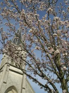 20070329_297129.jpg