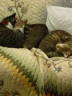 20080222_446925.jpg