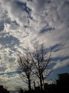 20081217_545773.jpg