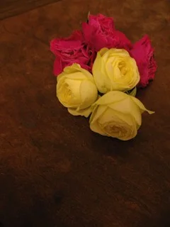 20090303_569016.jpg