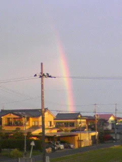 20091125_644546.jpg