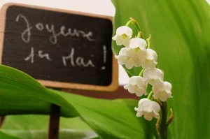 photo credit: fred_v via photopincc