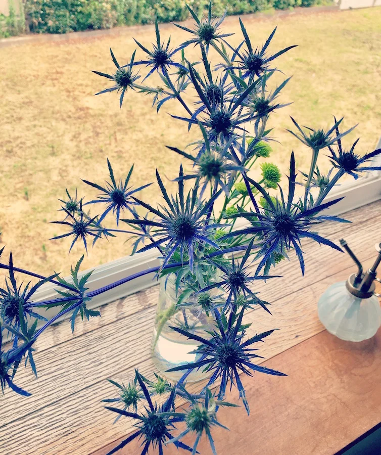 2017年8月 ： 毎夏恒例 スクラブル大会 !