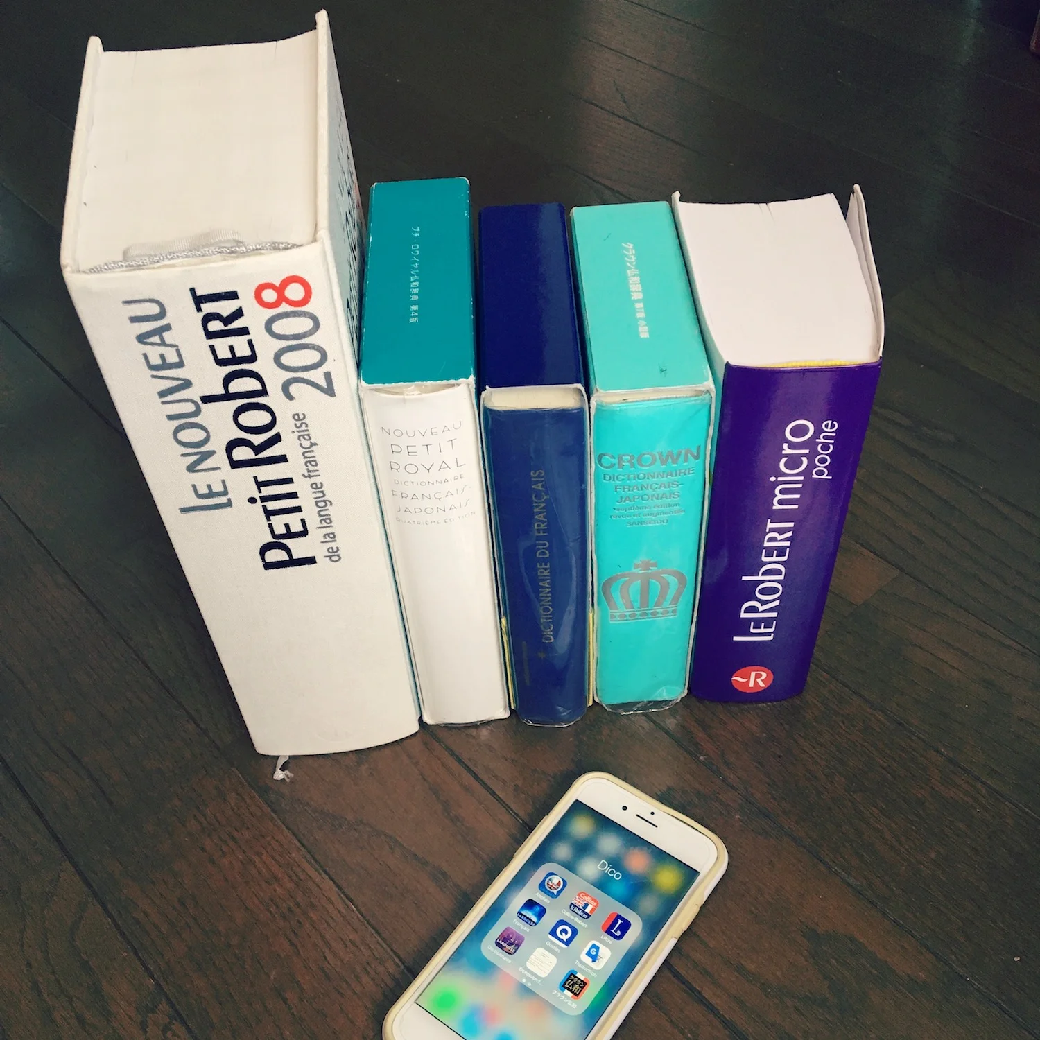 使える！フランス語辞書 紙版