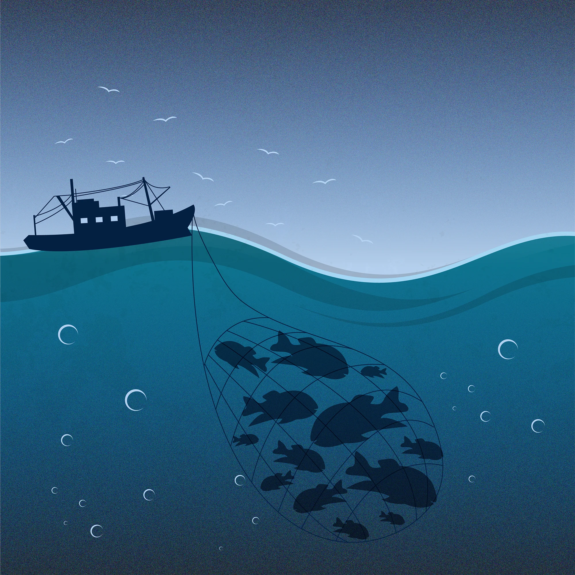 Oceans Illustration-01_small.jpg