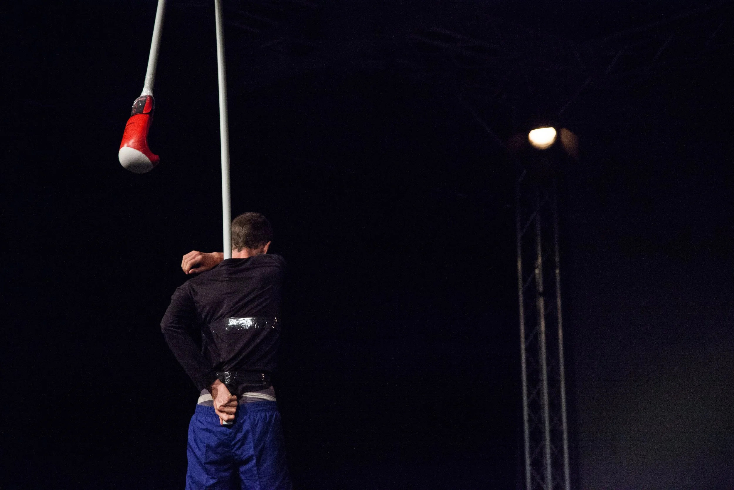 _pole and lightLORES1.jpg