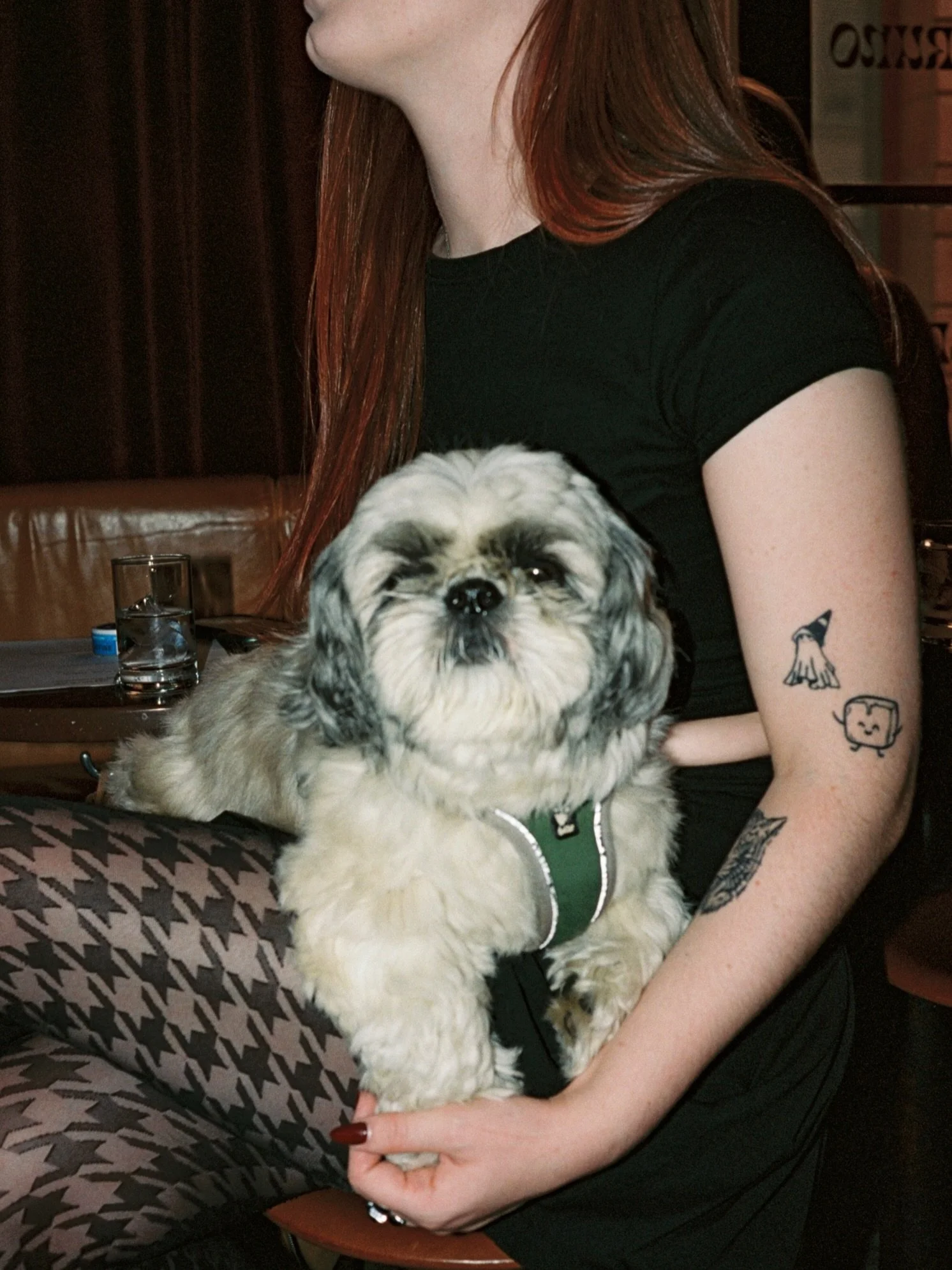 🐶 + 🍸 = 🫶🏻
