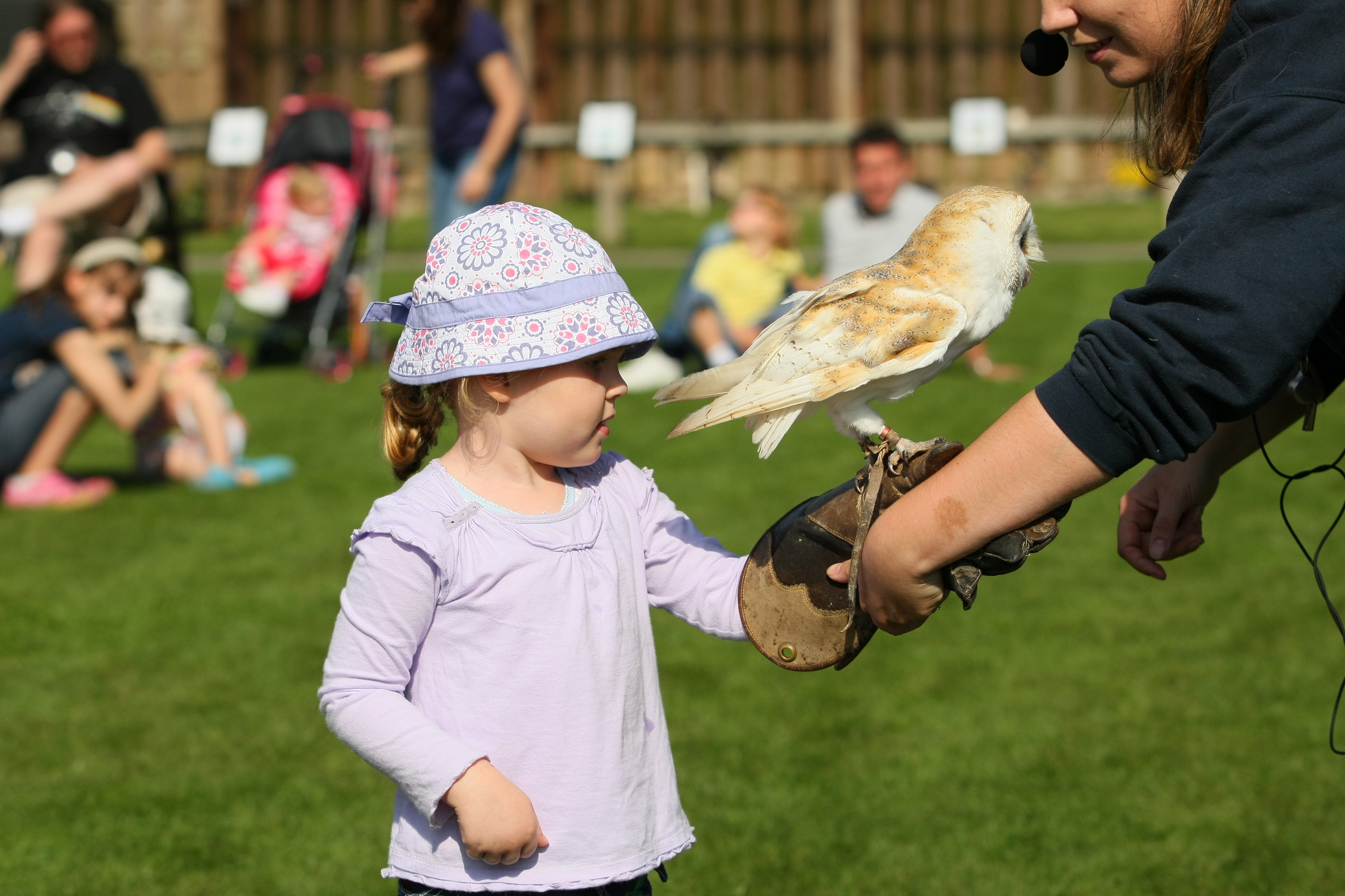 Dwf petting zoo boy with owl.JPG