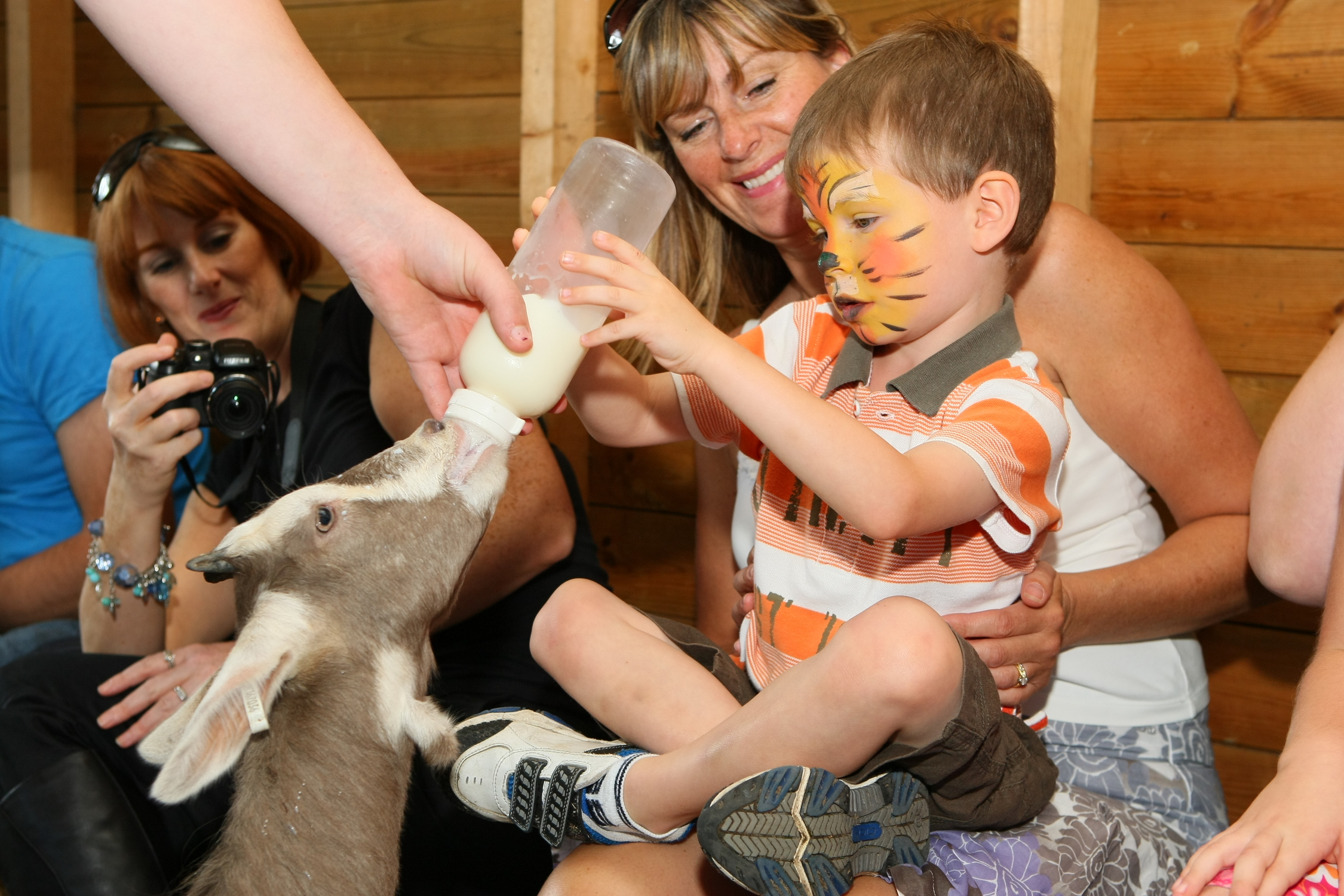 Dwf petting zoochild and goat with face paint.JPG