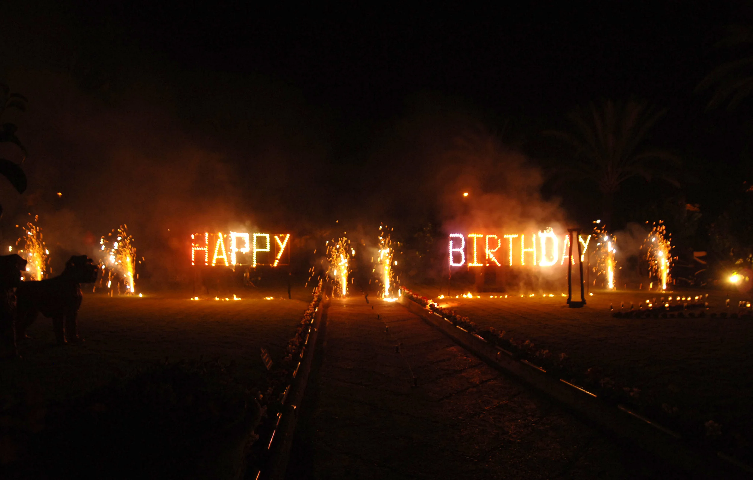 Fireworks birthday.jpg