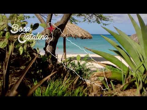 Discover Boca Catalina beach with Lincoln : The Locals Travel Guide to Aruba