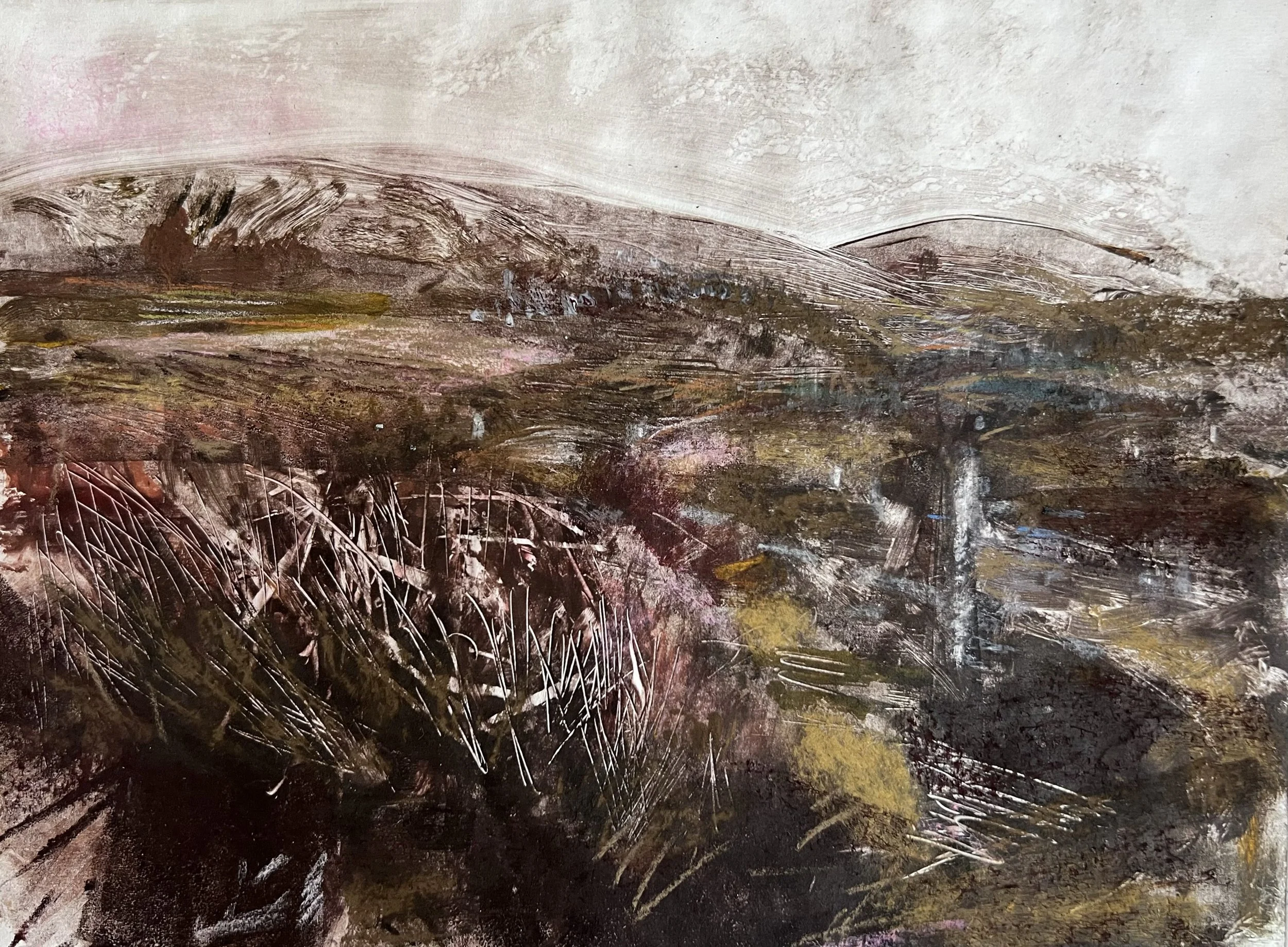 Beyond the Bog and Bracken