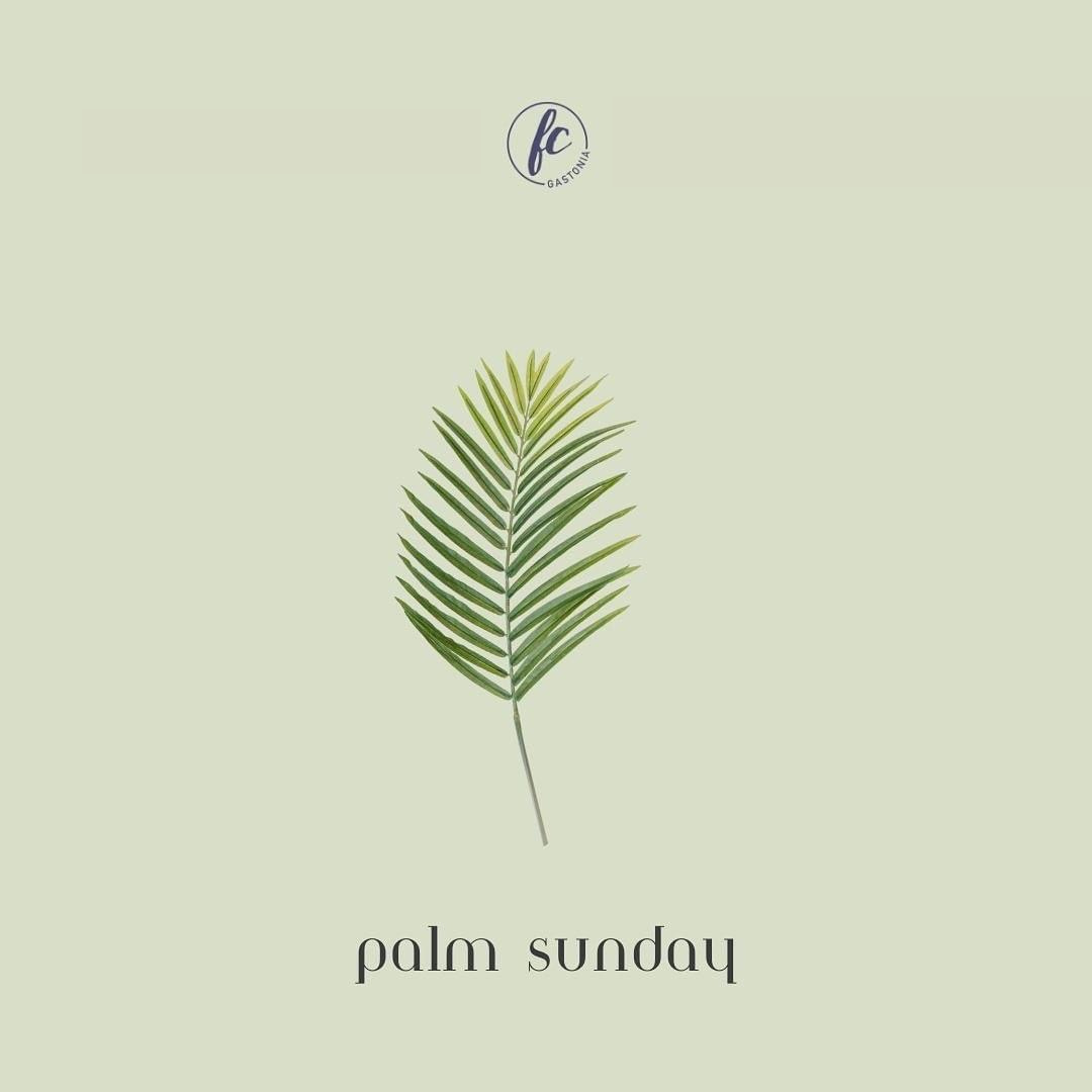 Palm Sunday 2023 - The Importance of The Holy Spirit episode artwork