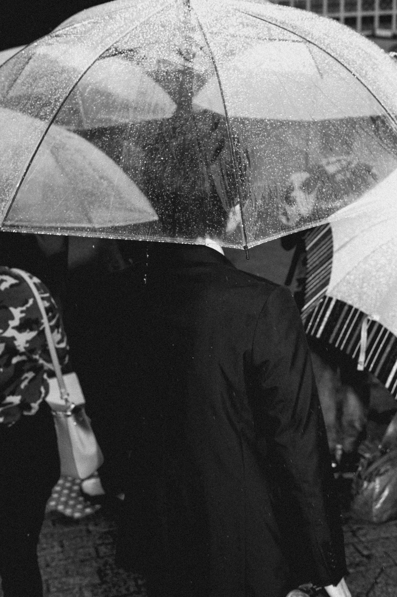 Tokyo-Rain__DSF2802.JPG