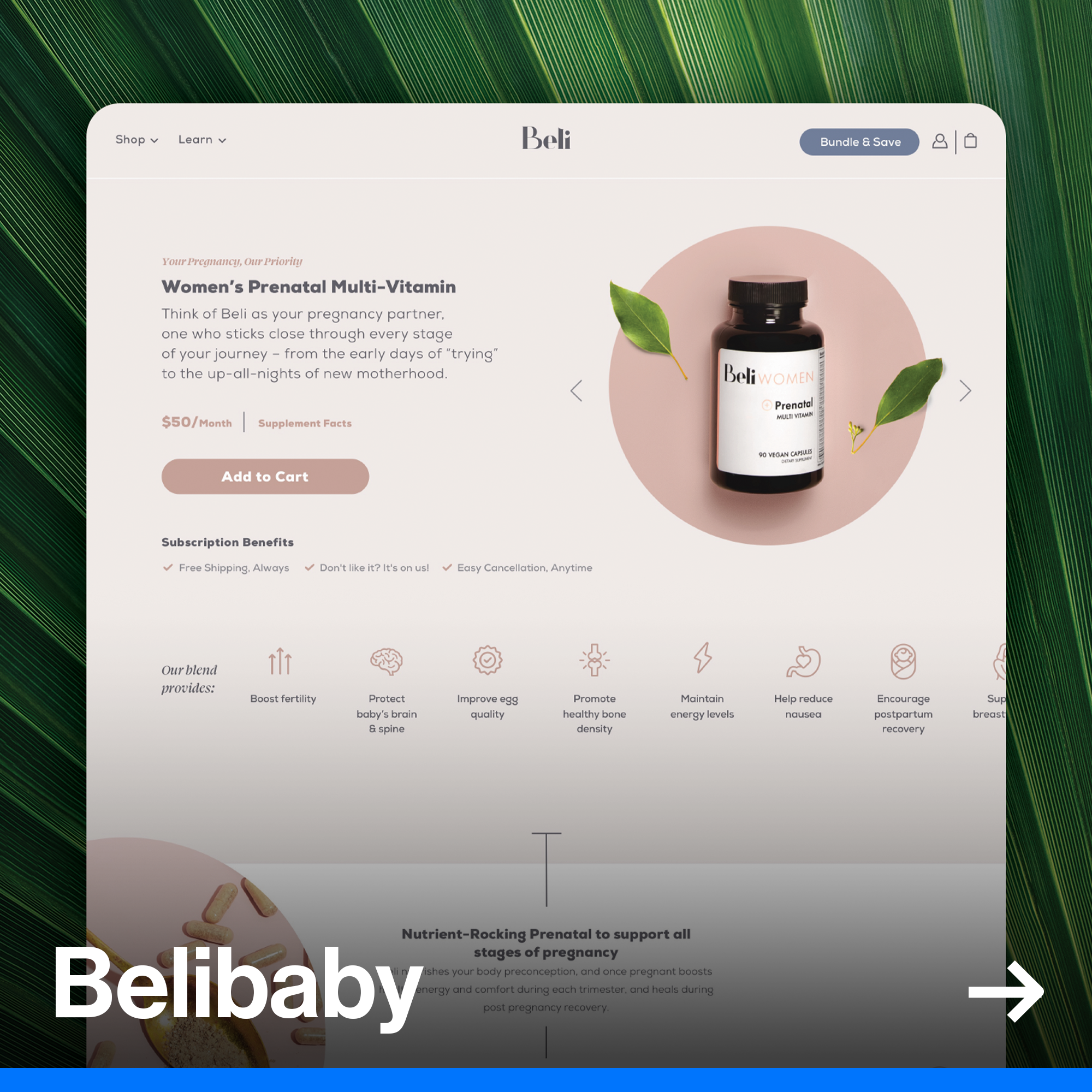 Belibaby.png