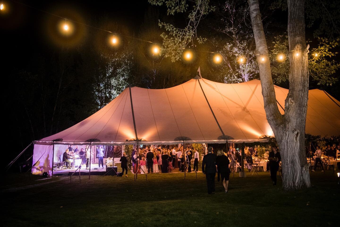 Always say yes to dancing- Carolyn and Zack had the most epic dance party! @dancedoctorsband you absolutely killed it!  Planning- @sproutdesignwedding  Photography- @devkhalsaphotography  Tent- @thatsentertainmentsv  Uplighting- @edgeeventproductions