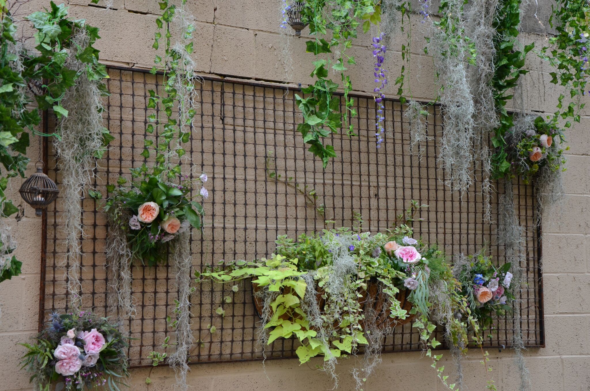 Greenery along wall in Garden Courtyard at Excelsior event venue