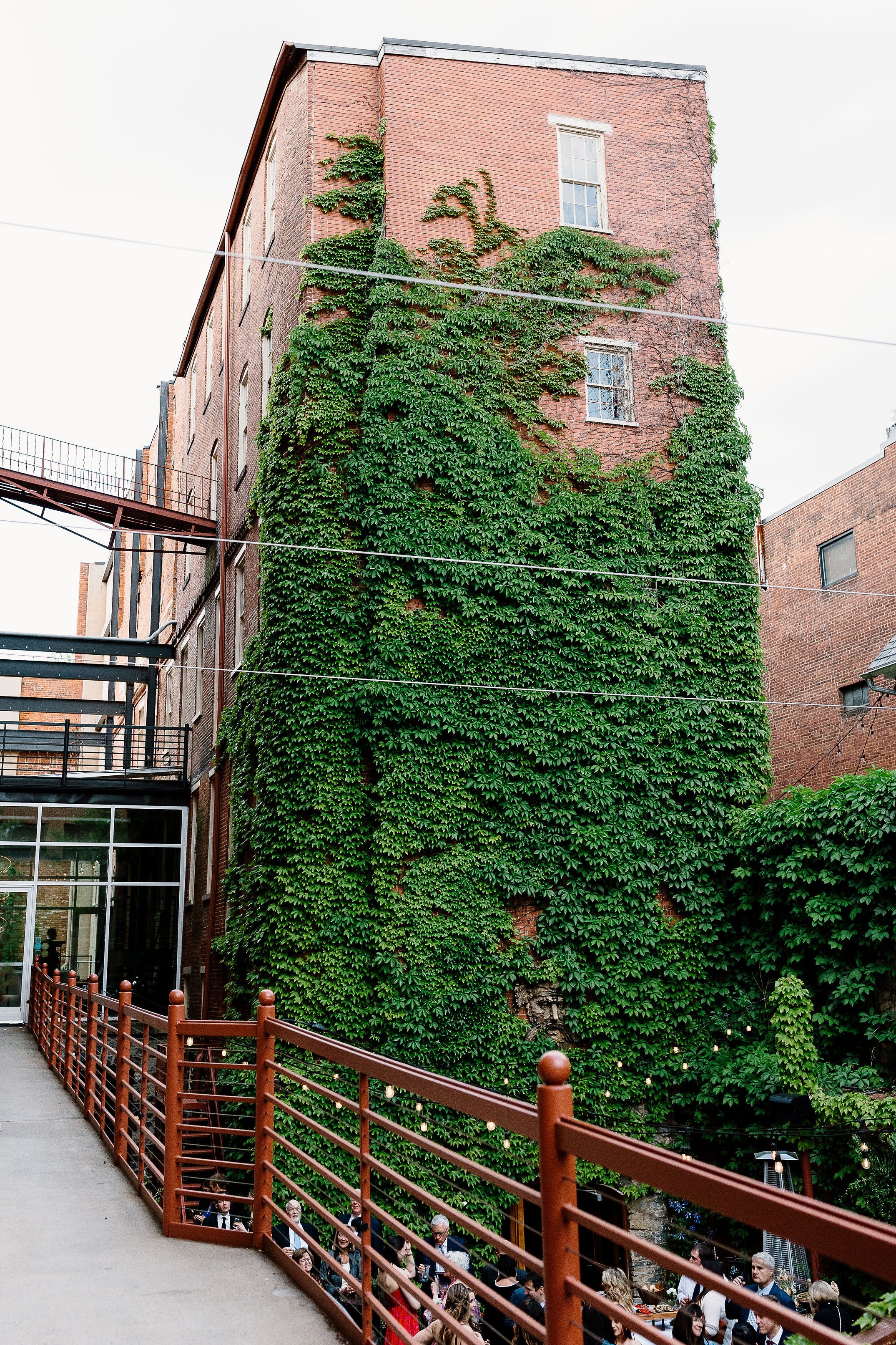 Tall brick wall covered with ivy outdoor greenery downtown at Excelsior Lancaster PA