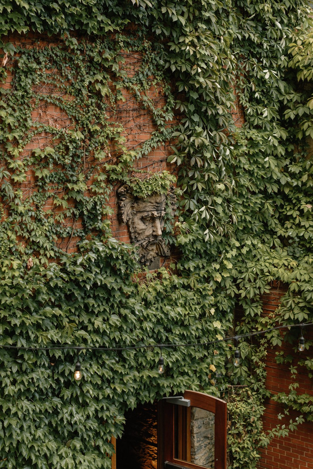 Green Man on ivy covered brick wall