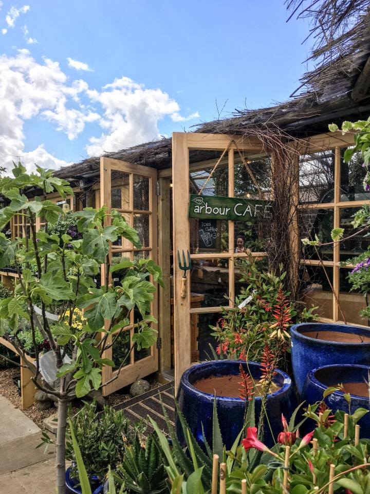 Arbour Cafe.jpg