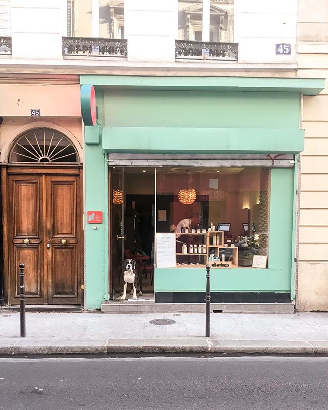 Sweetest Devotion 🐶 #paris #thisisparis #dogsofinstagram