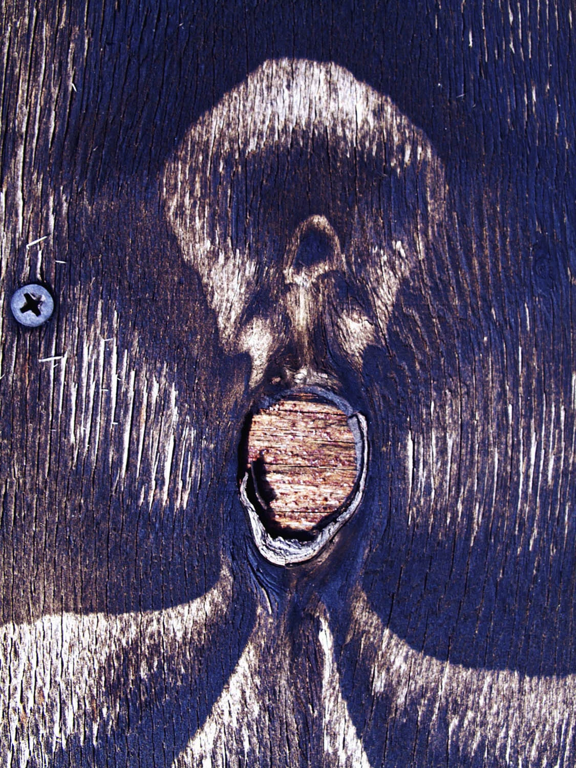 The Scream