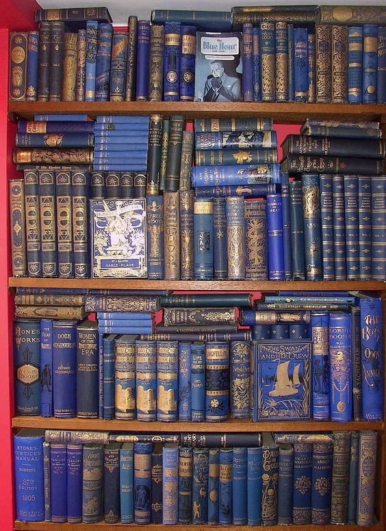 Learning a Language Makes Your Life Better