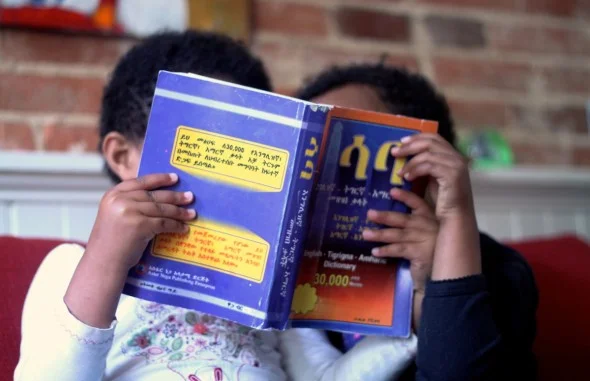 How to Customize English Tutoring: Native Language as a Factor