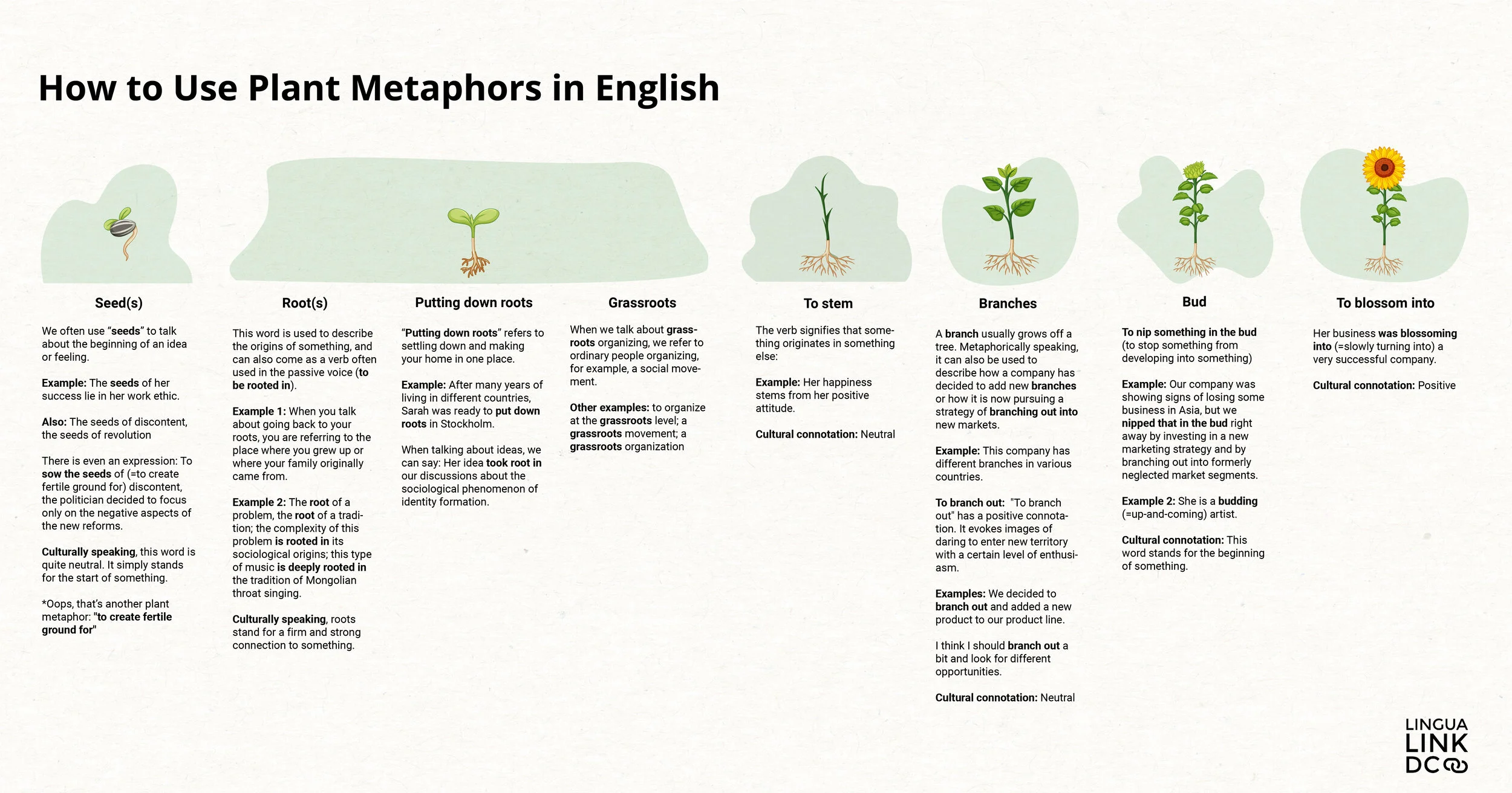 How to Use Plant Metaphors in English: A Visual Guide