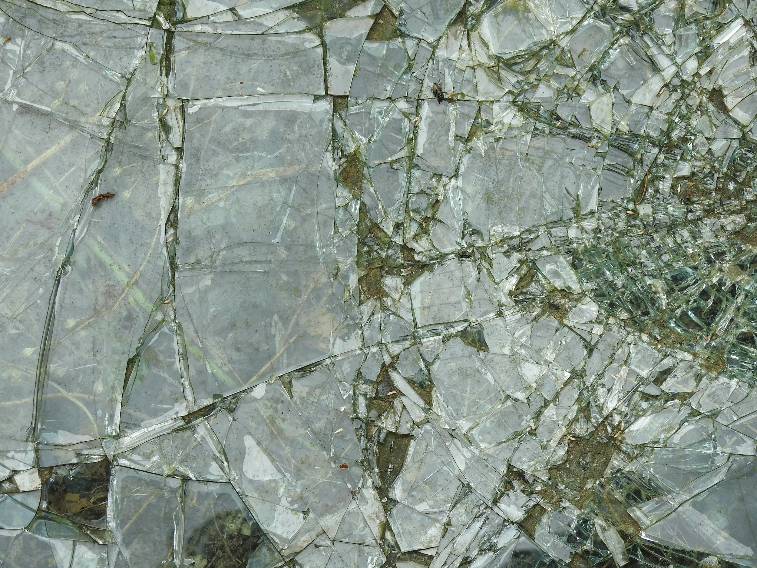 Embracing Imperfection: Overcoming Fear of Making Mistakes in Language Learning