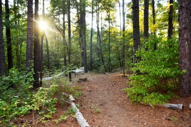 Yoga Nurture Retreat