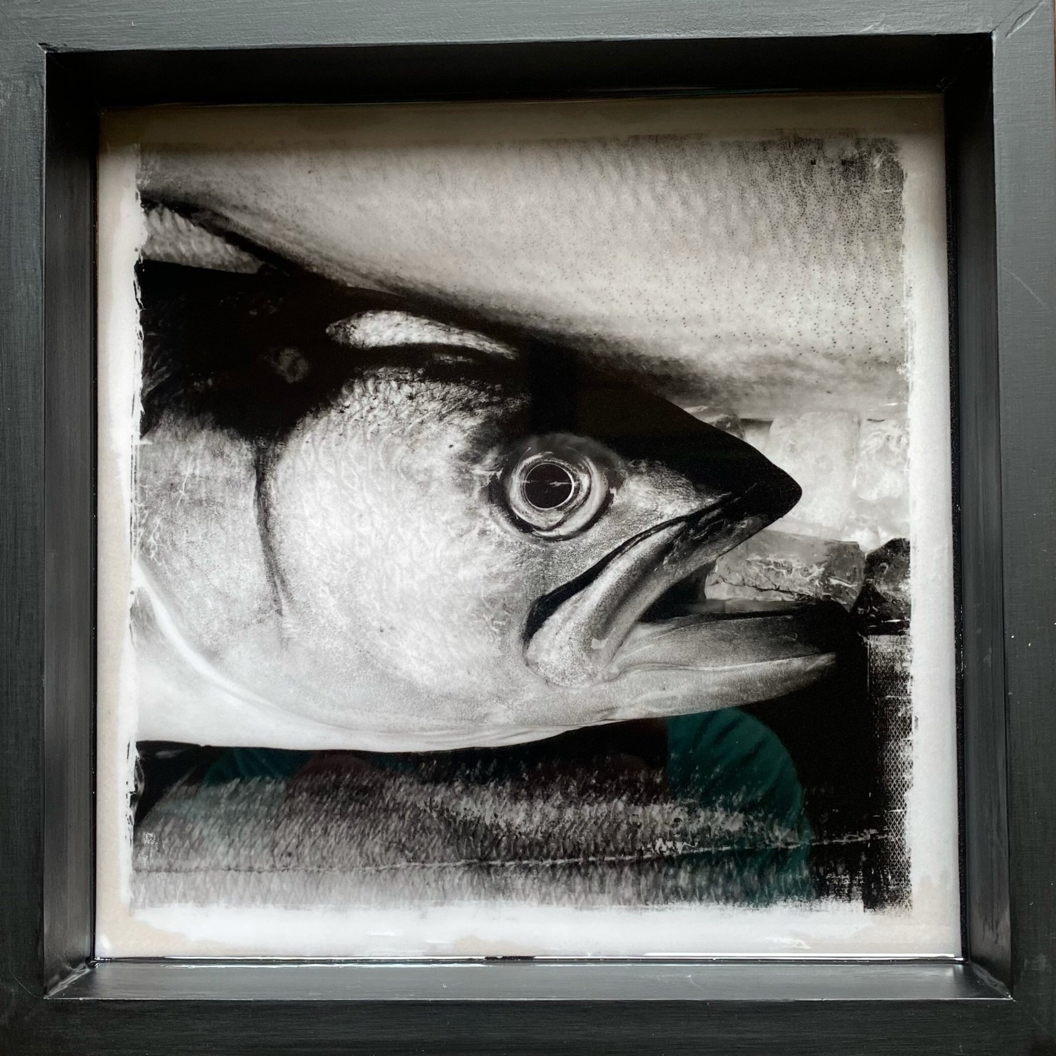 bluefish #1.jpeg