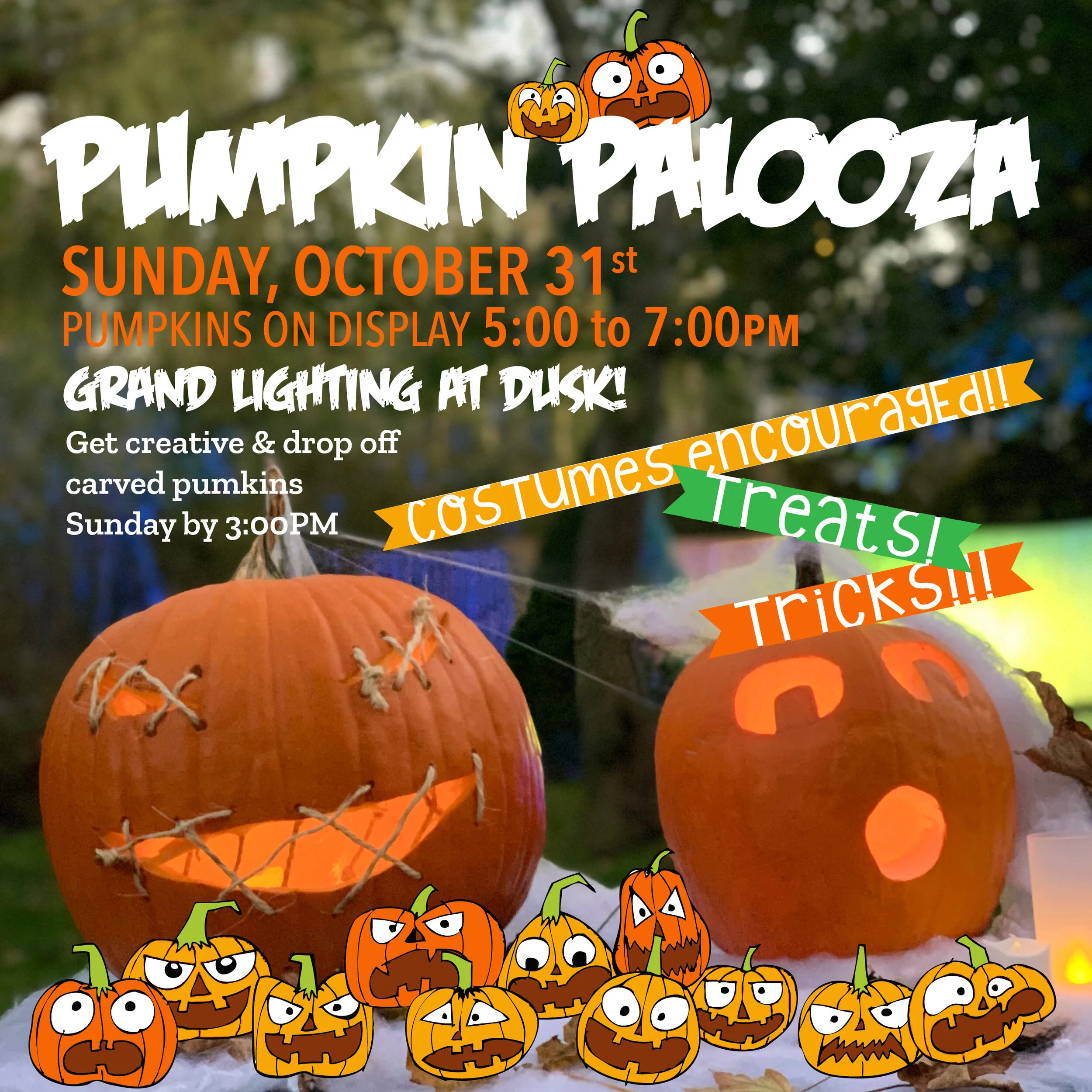 Pumpkin Palooza!