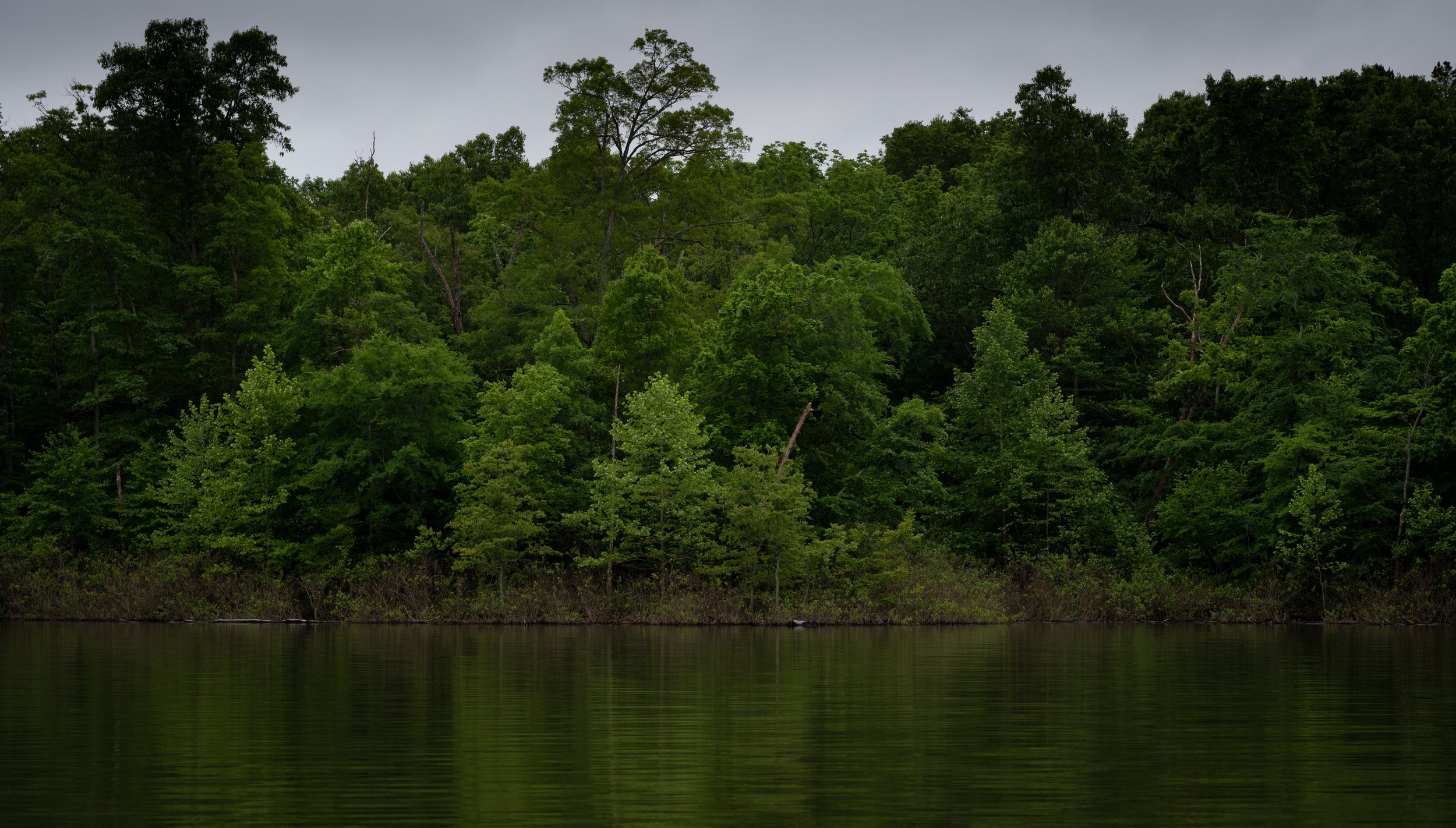 Beaver Lake