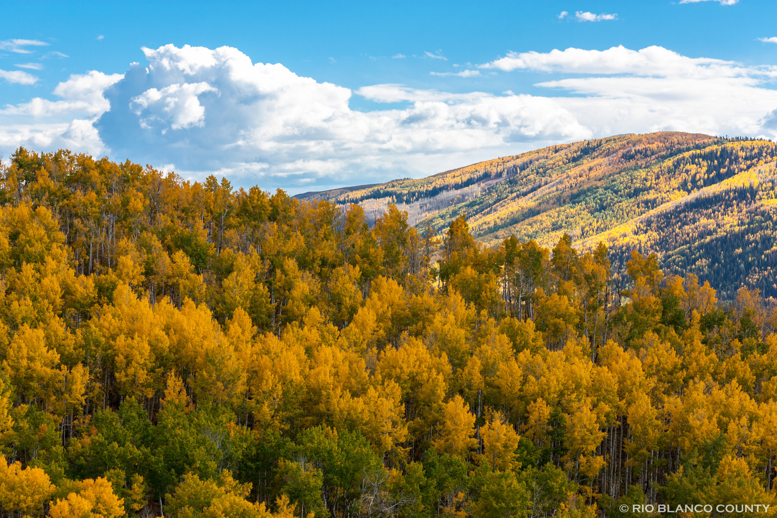 Hay Flats View 7.jpg
