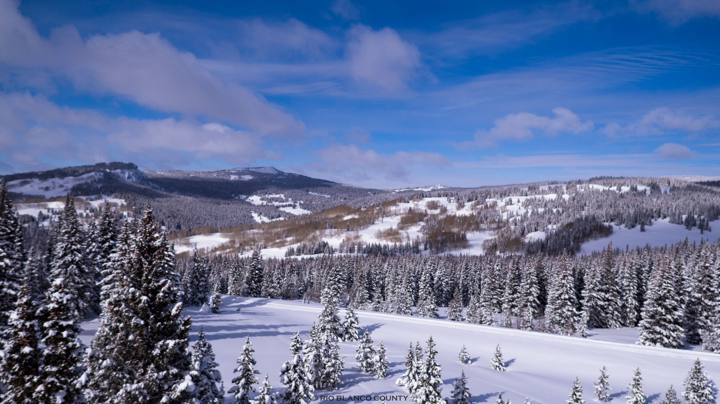WRNF Winter 3.jpg