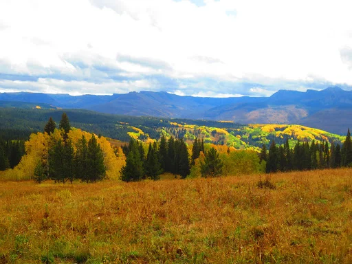 Fall Visits the Flat Tops Wilderness Area_Mary Cunningham Gill.jpg