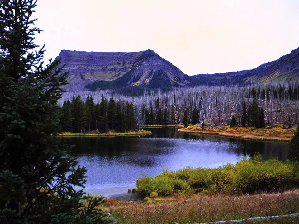 Gina Ray - Lake Talquin.jpg