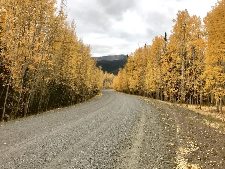 Joseph Rose - Down the Country Road.jpg