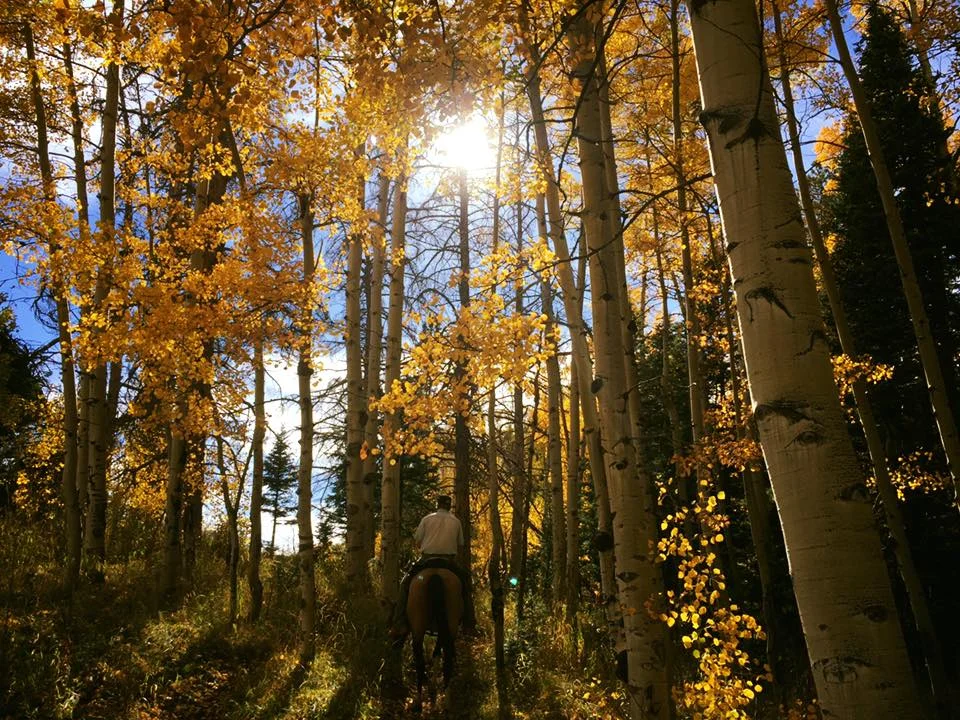 10-Ann Marie Scritchfield Horseback is the Best Way to View Fall Colors.jpg