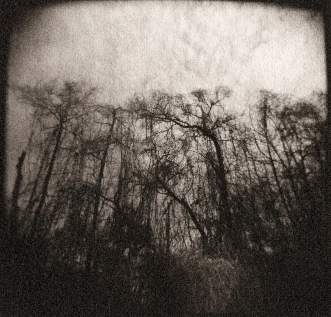 Holga_0001.jpg
